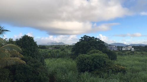 有关天性, 天空, 延时视频的免费素材视频