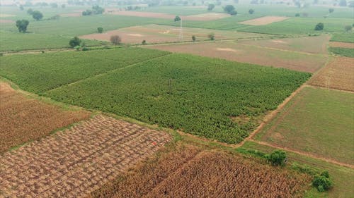 农业农作物土地使用的无人机画面 · 免费素材视频