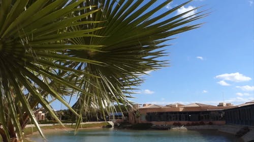 以人造湖为景点的酒店和度假村 · 免费素材视频