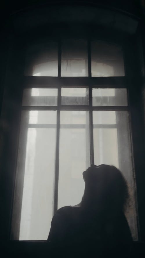 有关Copyspace, 剪影, 大纲的免费素材视频