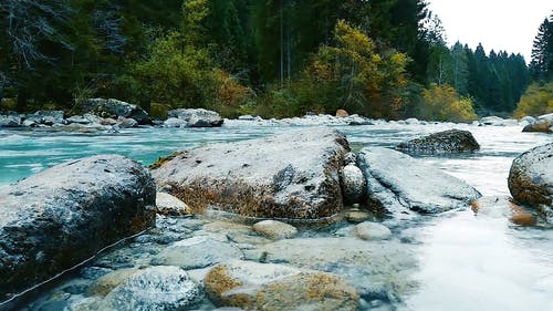 在森林里的一条河的河畔的岩石形成的巨石 · 免费素材视频