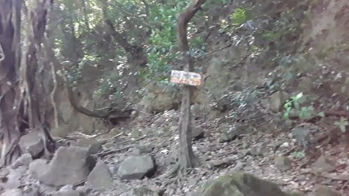 有关岩石, 户外, 手持拍摄的免费素材视频