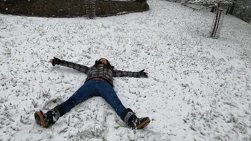 有关享受, 冬季, 大雪覆盖的草的免费素材视频
