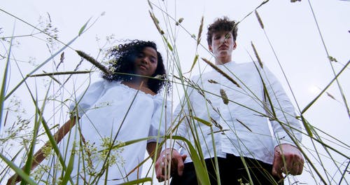 有关一起, 低角度, 夏天的免费素材视频