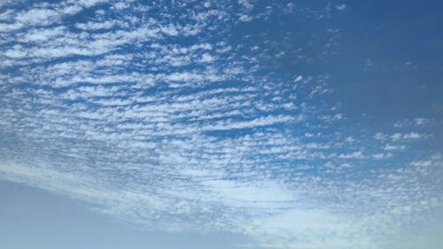 有关天, 天堂, 天性的免费素材视频