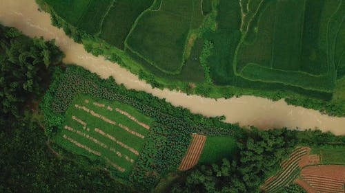 风景的顶视图镜头 · 免费素材视频