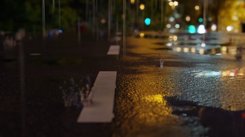 雨点落在地上 · 免费素材视频