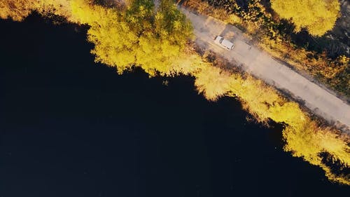 有关户外, 树, 水的免费素材视频