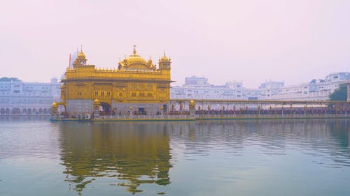 印度的金色锡克教寺庙 · 免费素材视频