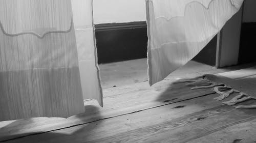 有关原本, 单色, 地板的免费素材视频