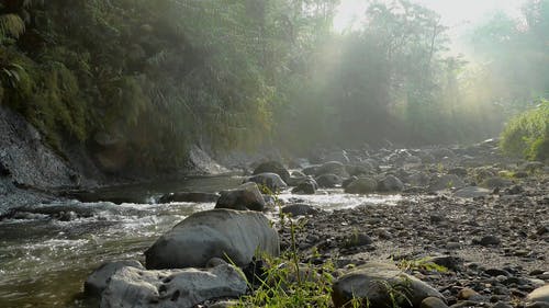 有阳光的多岩石的河 · 免费素材视频