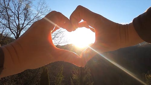 有关天性, 心, 户外的免费素材视频