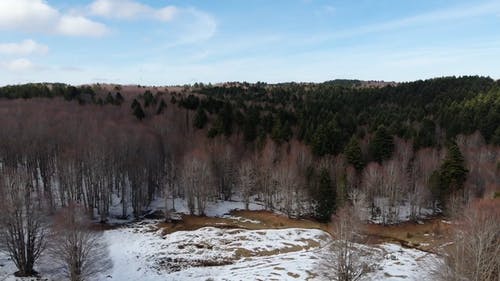 有关冬季, 天性, 户外的免费素材视频