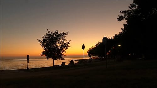 有关享受, 剪影, 天性的免费素材视频