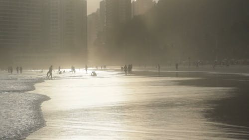 城市海滨 · 免费素材视频