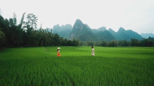 幸福的夫妻，在农场中间 · 免费素材视频