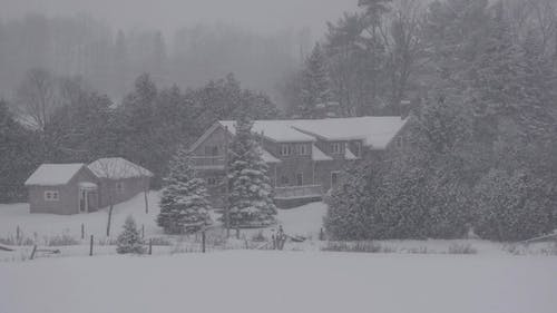 有关下雪的, 下雪的天气, 冬季的免费素材视频