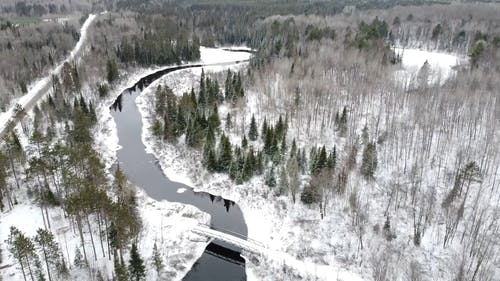 横跨在白雪覆盖的森林河上的一座桥 · 免费素材视频