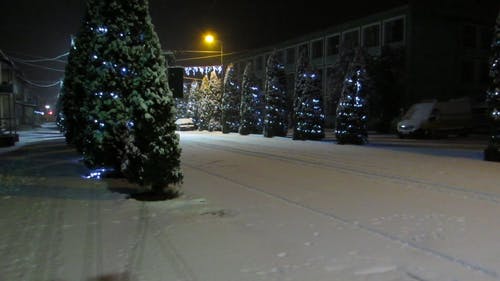 圣诞树机智灯线装饰着雪覆盖的街道一侧 · 免费素材视频