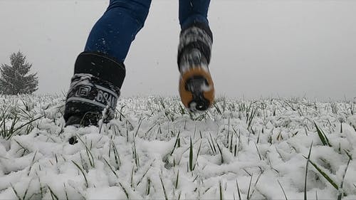 有关下雪, 低角度拍摄, 冬季的免费素材视频