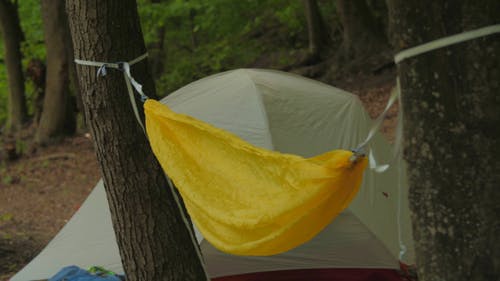 有关吊床, 在森林中露营, 帐篷的免费素材视频