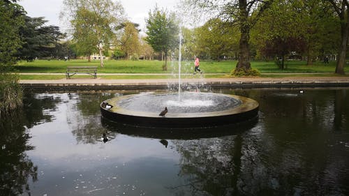 有关伦敦, 公园, 喷泉的免费素材视频