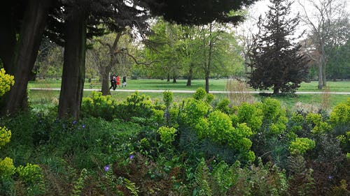 有关公园, 户外, 手持拍摄的免费素材视频