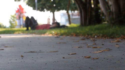 有关人, 低射击, 公园的免费素材视频