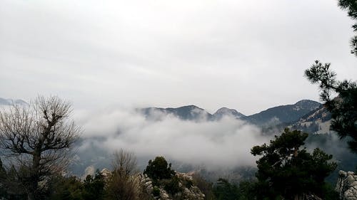 浓雾覆盖山坡和山谷 · 免费素材视频
