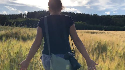 有关女人, 步行, 田的免费素材视频