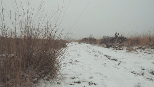 积雪覆盖越野路面 · 免费素材视频