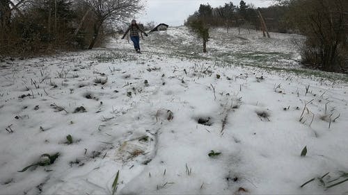 有关（顶部有小羊毛球的）羊毛帽子, 下雪的, 享受的免费素材视频