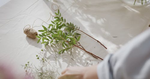 有关一串, 一束花, 一束鲜花的免费素材视频