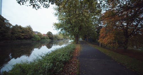 除水渠外的混凝土小路 · 免费素材视频