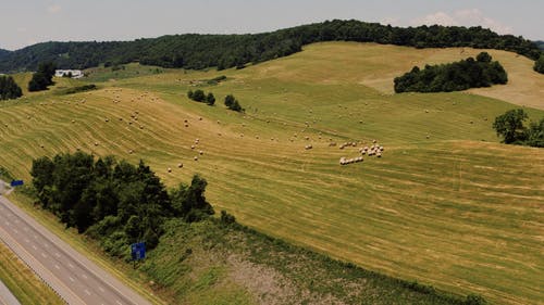 有关下田, 丘陵, 丘陵的的免费素材视频