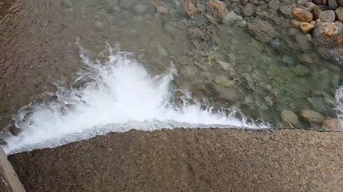 有关天性, 慢动作, 户外的免费素材视频