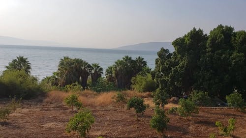 有关天性, 户外, 旅行的免费素材视频