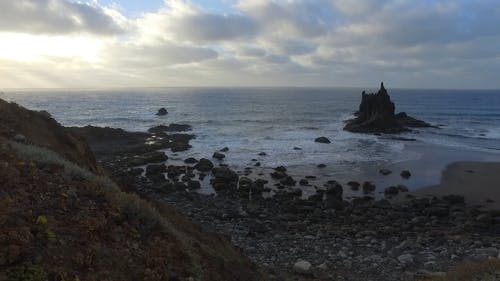 有关假期, 公园, 夏天的免费素材视频