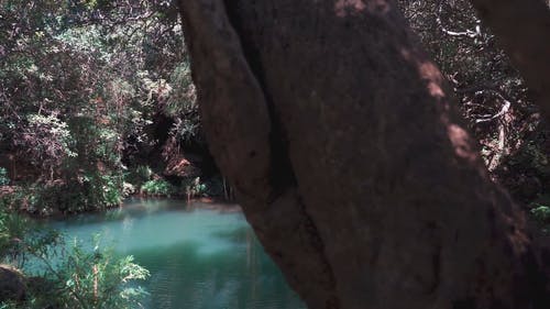 有关冒险家, 天性, 户外的免费素材视频