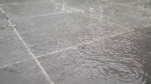 有关inkarcat.dll, 下雨, 下雨天的免费素材视频