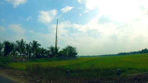 有关农业领域, 户外, 日光的免费素材视频