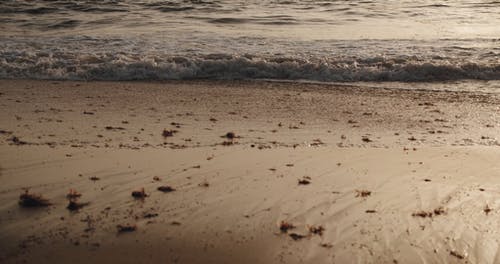 海浪的慢动作镜头 · 免费素材视频