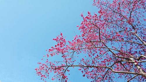 有关@户外, 分支机构, 天性的免费素材视频