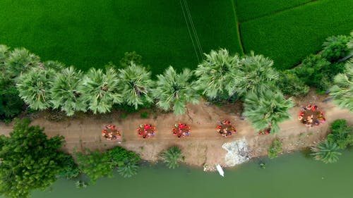 人们一起跳舞的顶视图镜头 · 免费素材视频