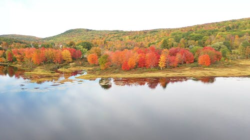 秋天的树木在山脚下和在湖边 · 免费素材视频