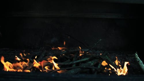 有关原本, 慢动作, 慢动作的免费素材视频