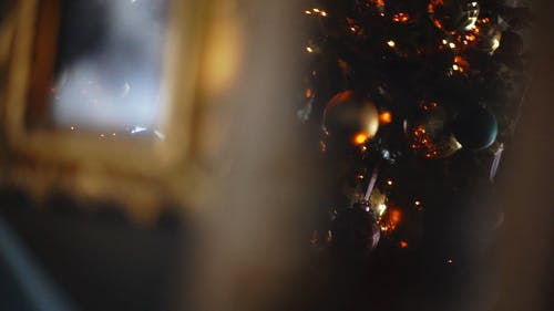 一名妇女在圣诞树旁的框架上的图片 · 免费素材视频