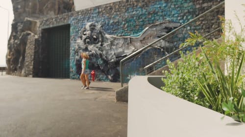 海狮在公园的石墙上的雕塑 · 免费素材视频