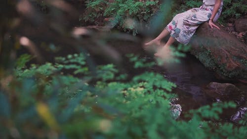 有关不露面, 天性, 女人的免费素材视频