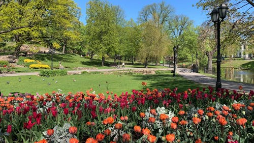 有关优美的风景, 公园, 城市公园的免费素材视频